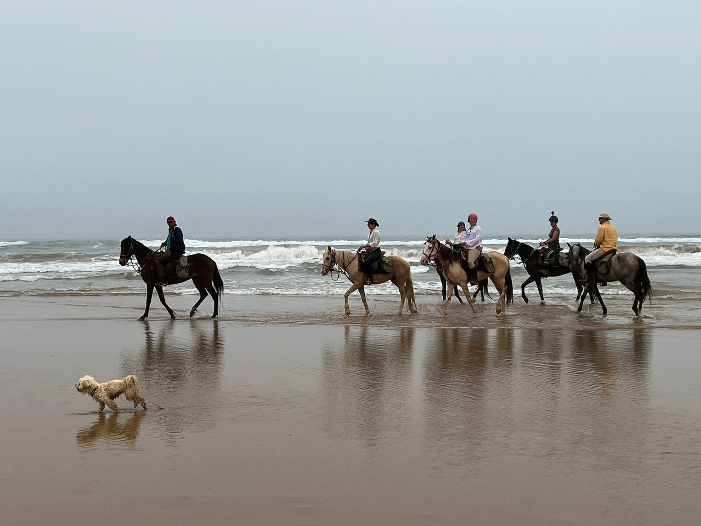 Horse Riding in Agadir: An Unforgettable Experience