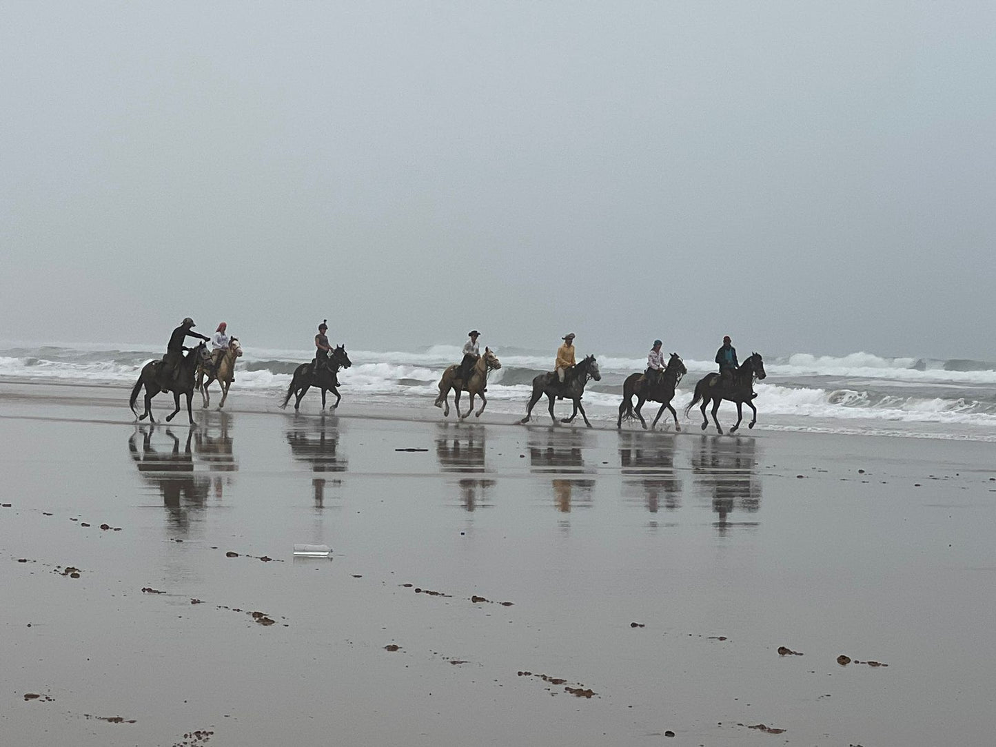 Horse Riding in Agadir: An Unforgettable Experience