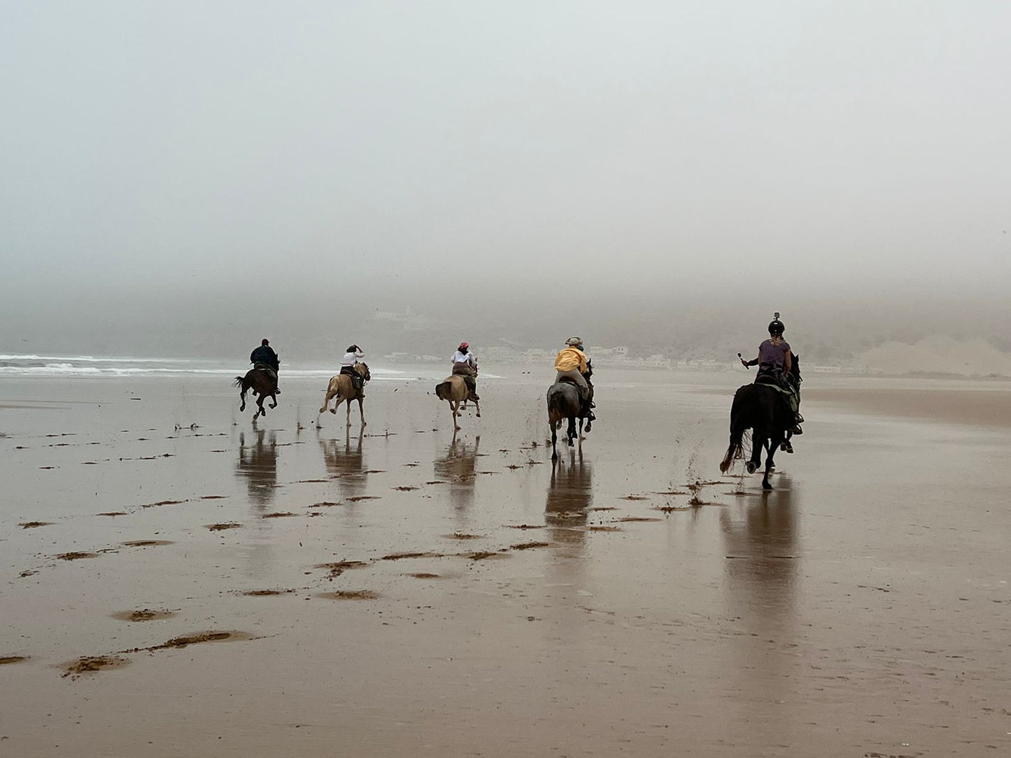 Horse Riding in Agadir: An Unforgettable Experience