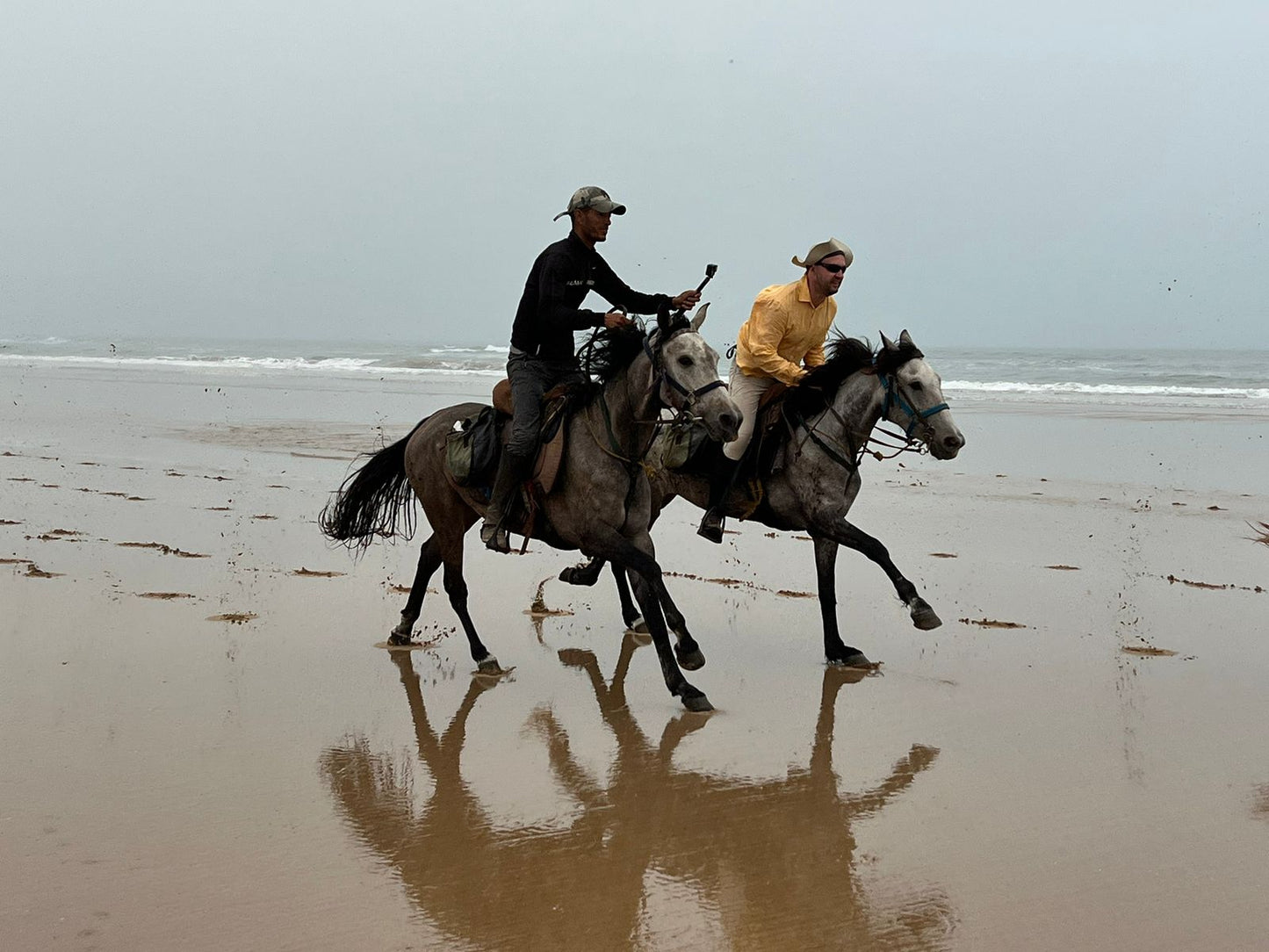 Horse Riding in Agadir: An Unforgettable Experience