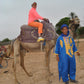Camel Riding Adventure in Agadir: Explore the Scenic Flamingos River and Eucalyptus Forest
