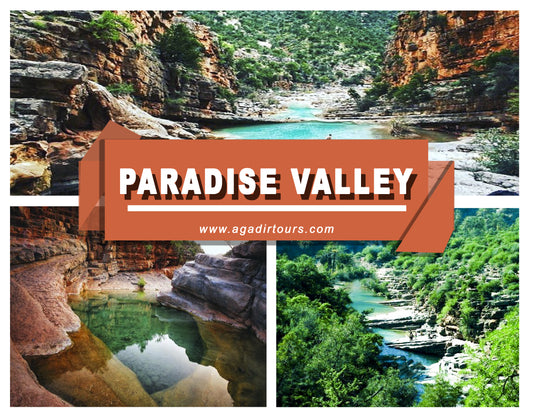 Discover Morocco's Natural Beauty: Half-Day Tour of Paradise Valley from Agadir